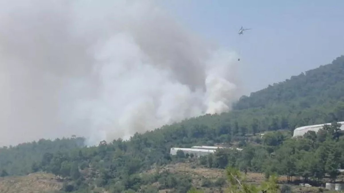 Türkiye nin 3 ayrı bölgesinde orman yangını #1