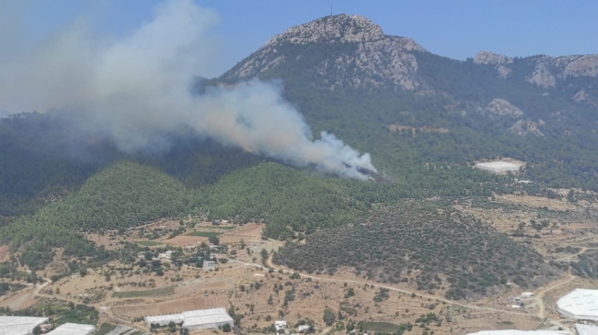 Türkiye nin 3 ayrı bölgesinde orman yangını #4
