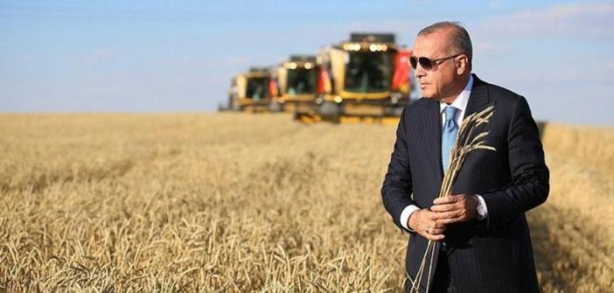 Eski Pentagon Müsteşarı: Erdoğan Nobel Barış Ödülü ne aday gösterilmeli #3
