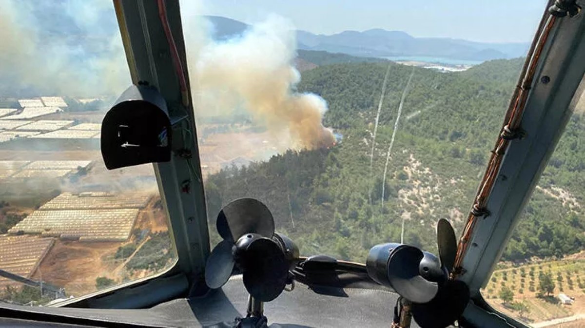 Türkiye nin 3 ayrı bölgesinde orman yangını #5