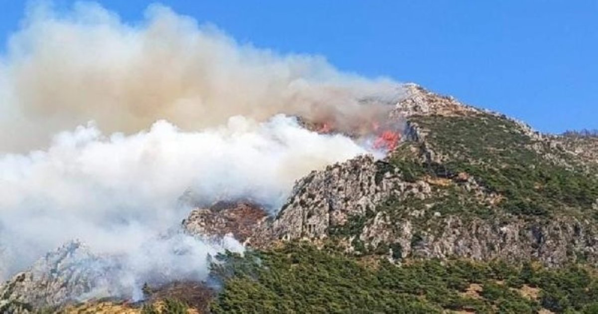 Türkiye nin 3 ayrı bölgesinde orman yangını #6