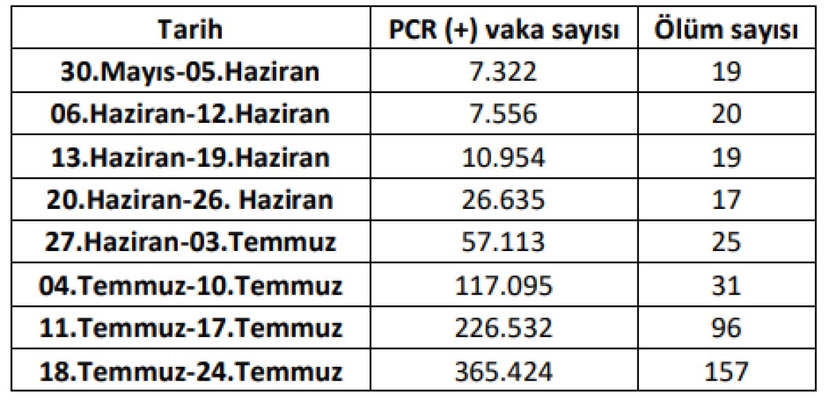 Uzmanından koronavirüse yönelik açıklamalar: Yeniden kabus olabilir #1