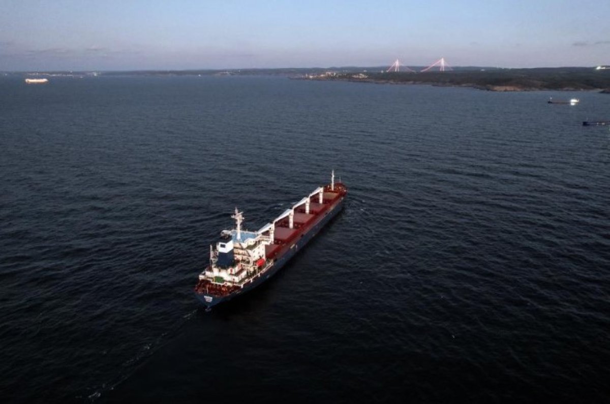 Odessa dan çıkan Ukrayna gemisi yarın İstanbul da denetlenecek #6