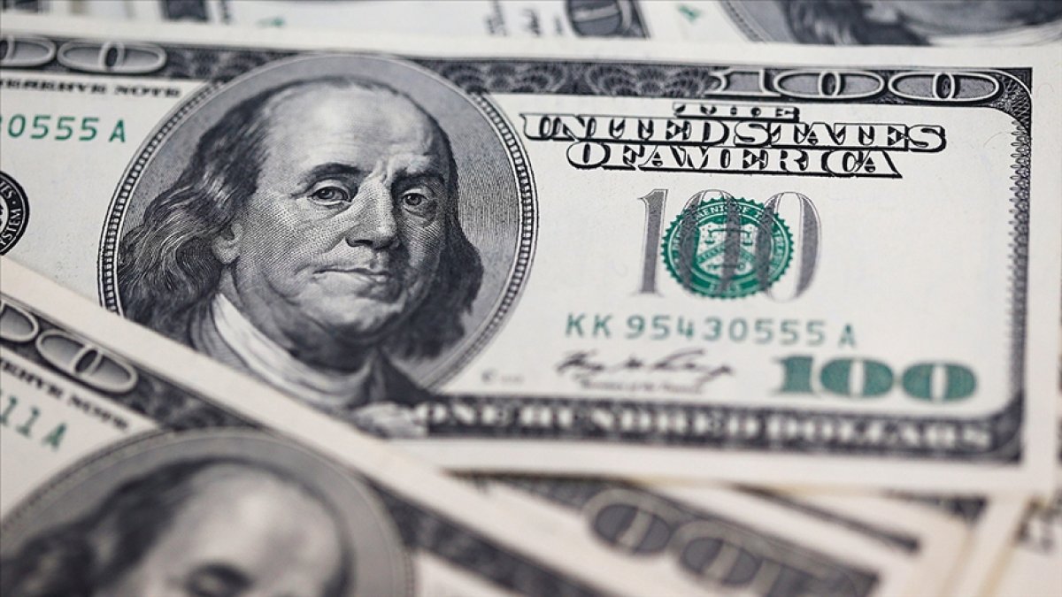 Reel efektif döviz kuru endeksi yükseldi