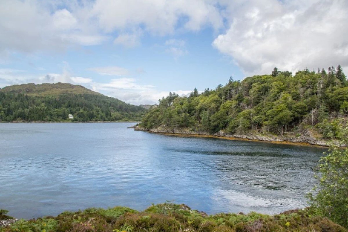 An island in Scotland is up for sale for £80,000 #5