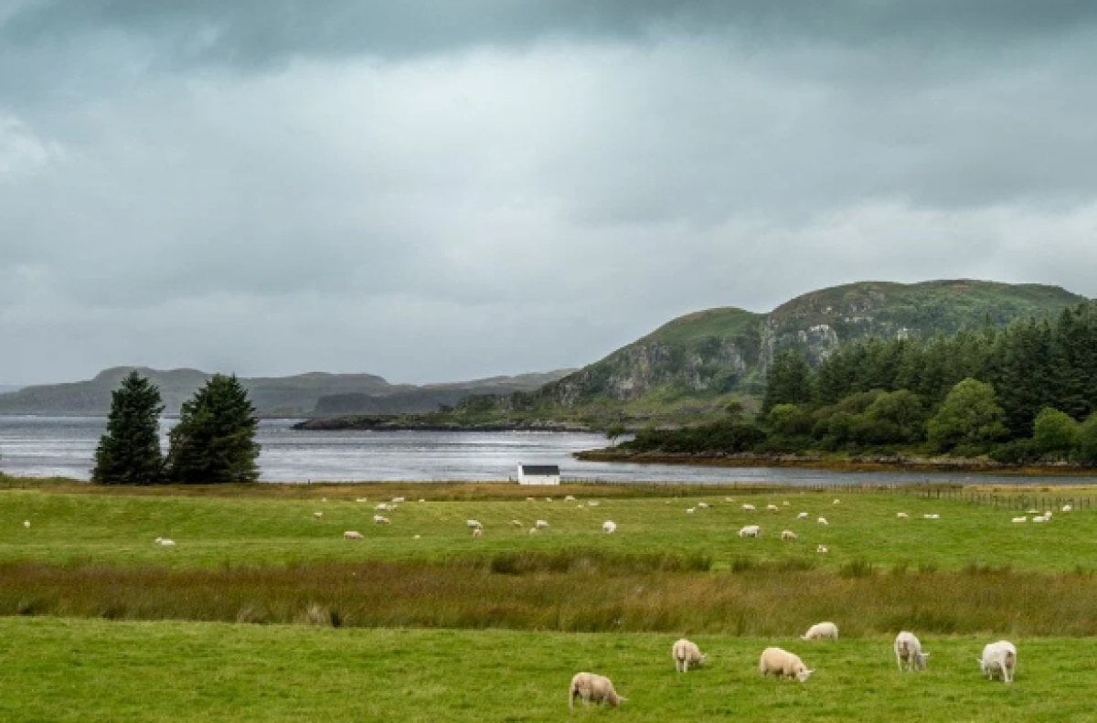 An island in Scotland is up for sale for £80,000 #6