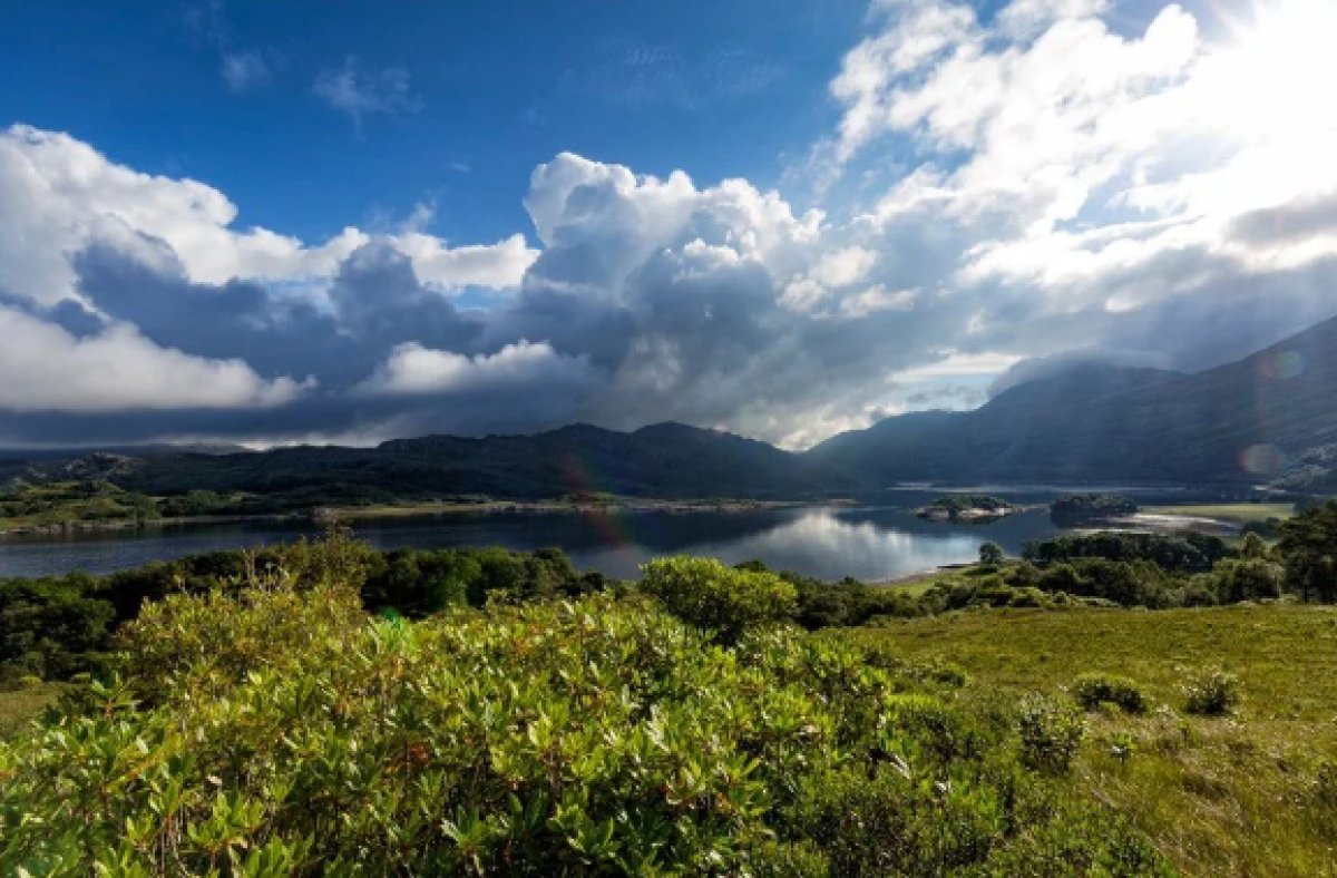 An island in Scotland is up for sale for £80,000 #4