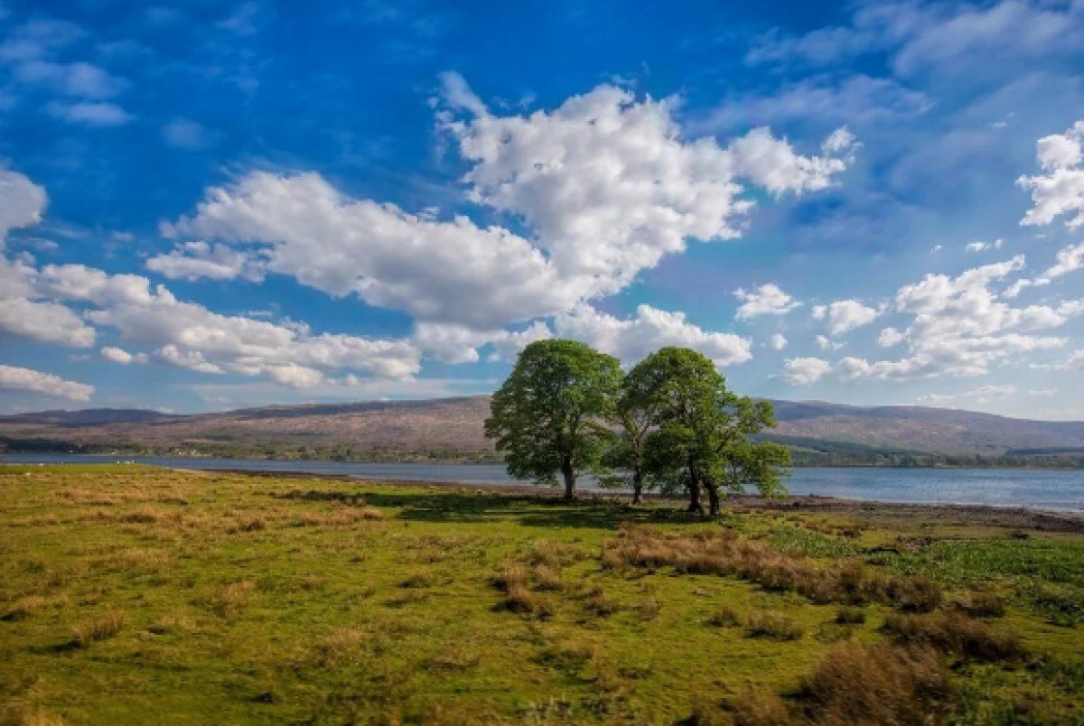 An island in Scotland is up for sale for £80,000 #3