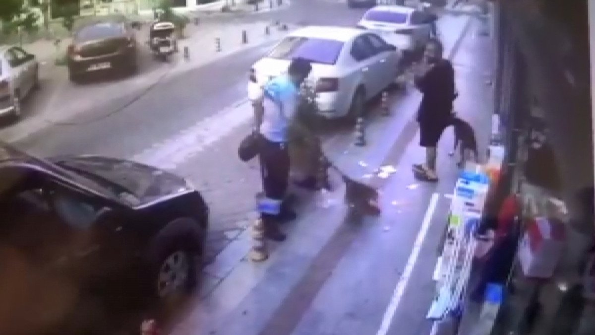 Kadıköy de ‘köpeğe toz geldi’ diyerek temizlik işçisini dövdü #2