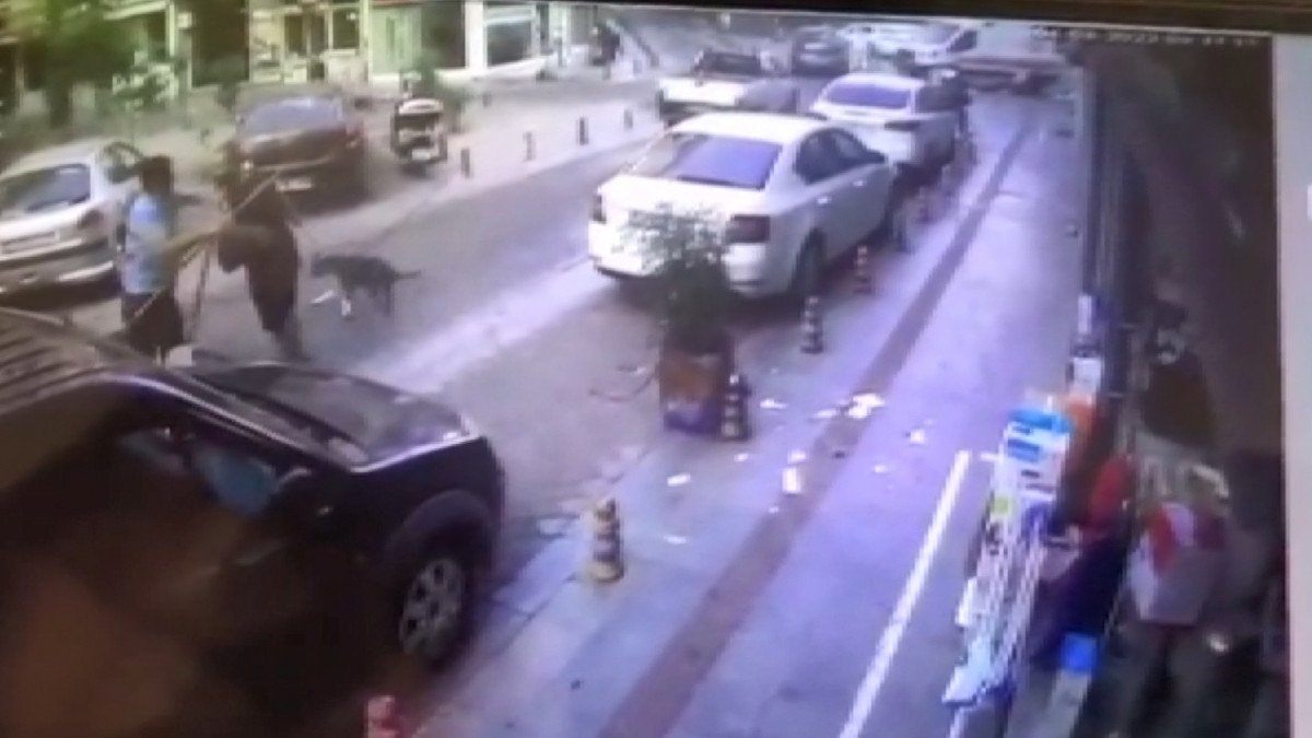 Kadıköy de ‘köpeğe toz geldi’ diyerek temizlik işçisini dövdü #4
