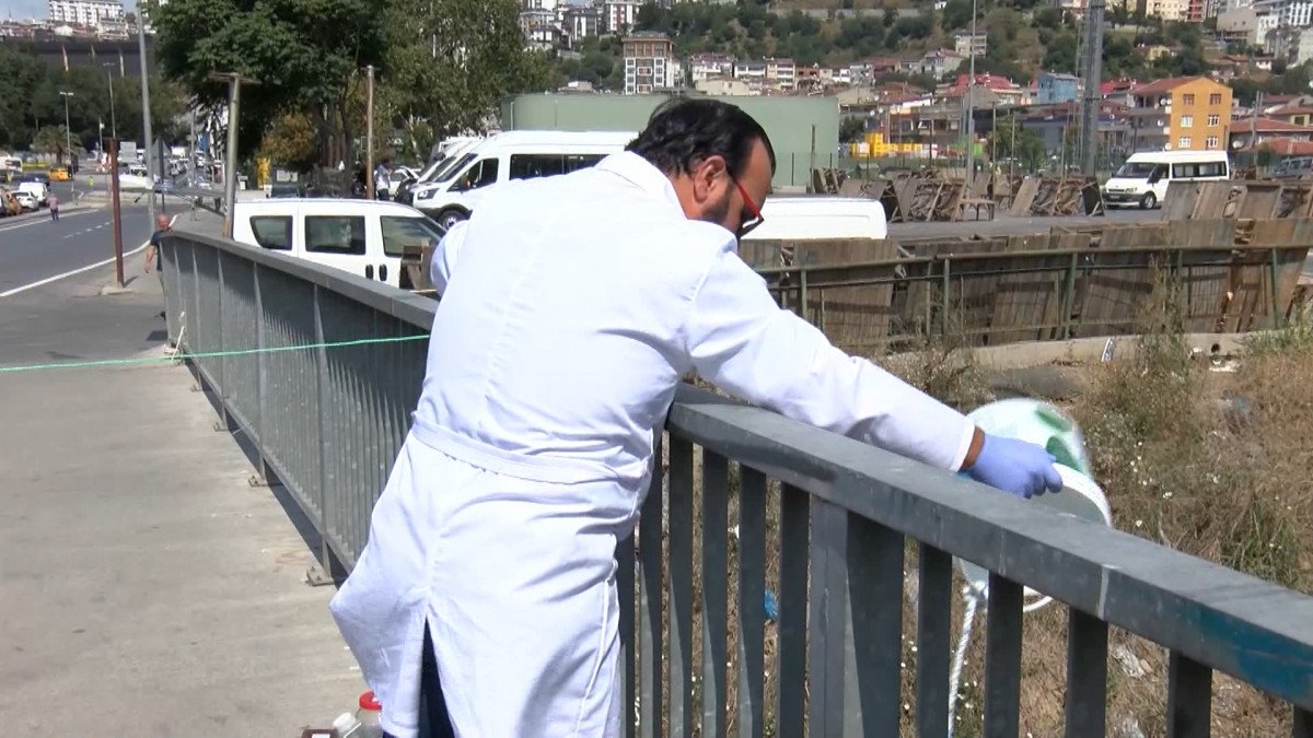 Haliç e akan Alibeyköy Deresi’nde balık ölümleri görüldü #5