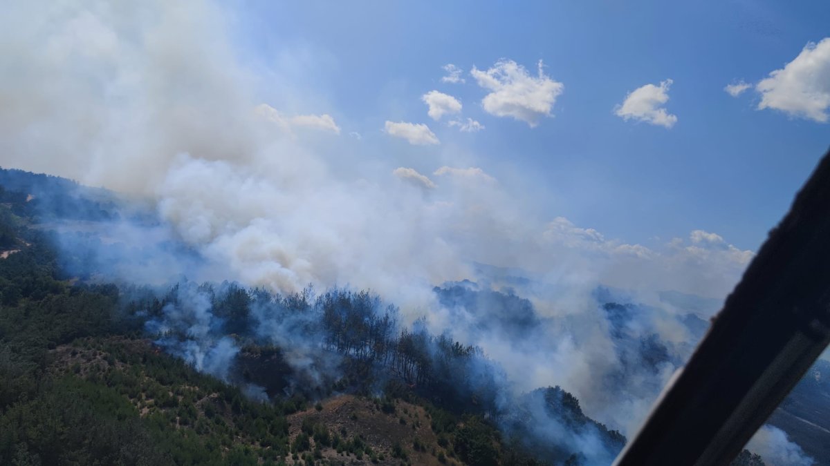 Çanakkale de orman yangını çıktı #1