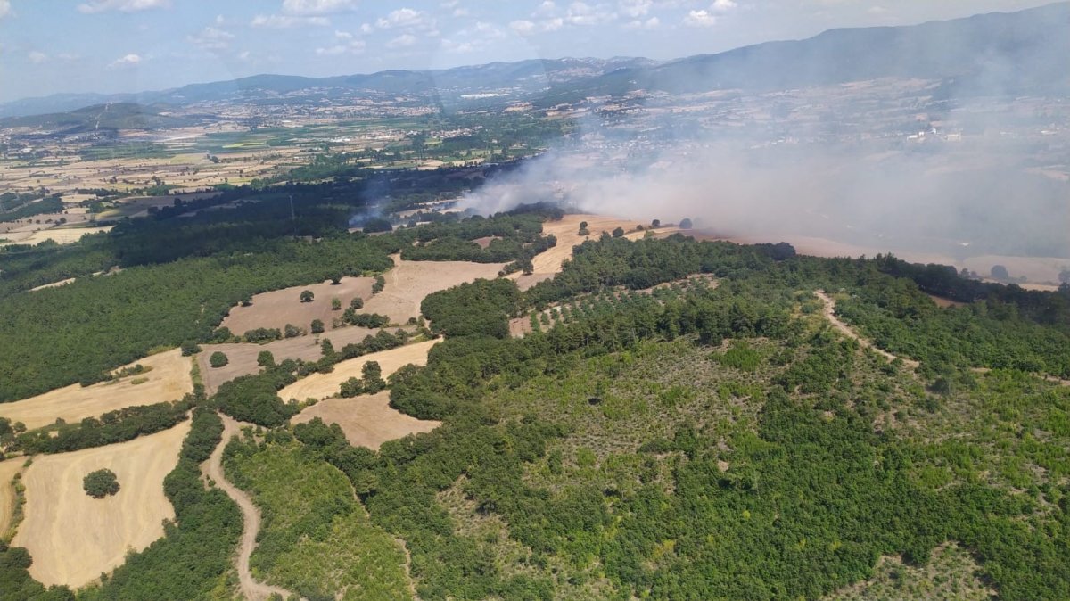 Çanakkale de orman yangını çıktı #3