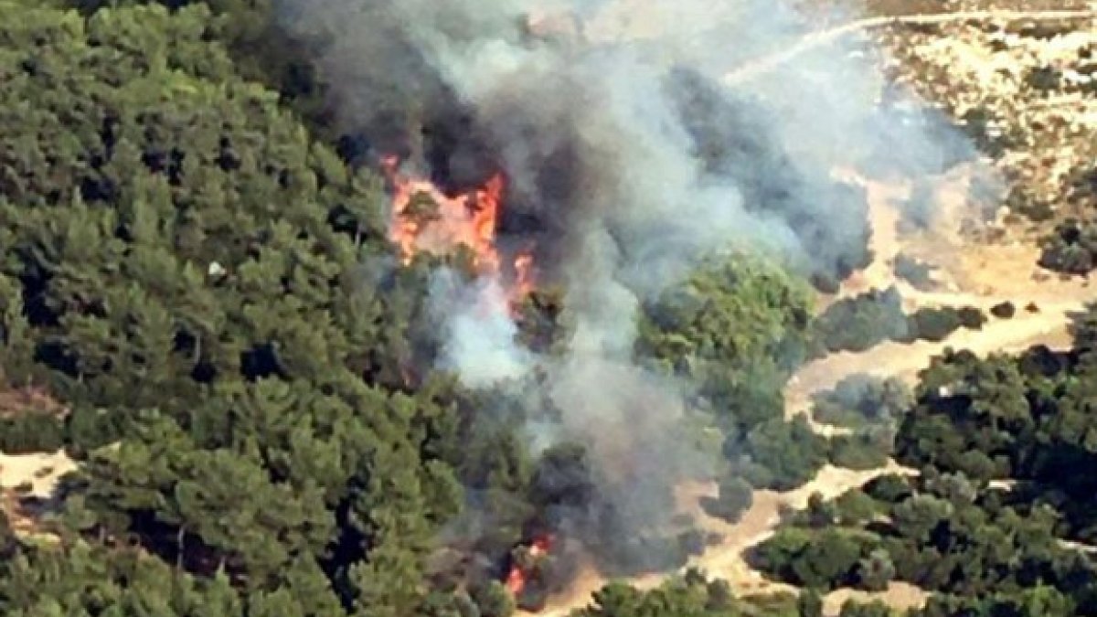 İzmir'de çıkan orman yangını kontrol altına alındı