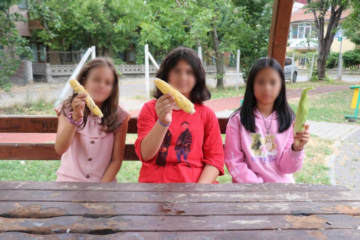 Bolu da parkta mısır yiyen 3 kız çocuğu, bahçe sahibi tarafından darbedildi #1