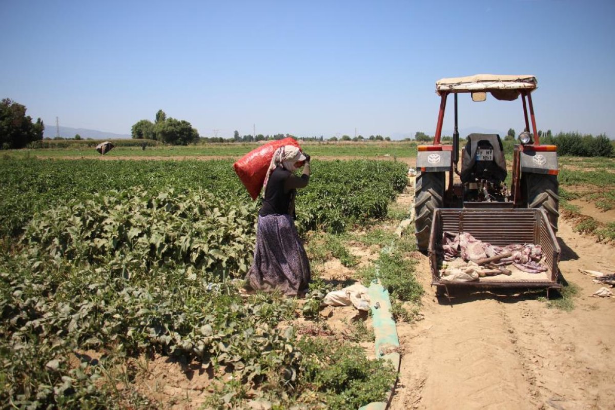 Masa başında oturan kadınlar bu zorluğu anlayamazlar #1