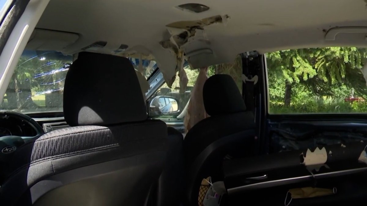 In the USA, the bear smashed the inside of the vehicle it entered #4