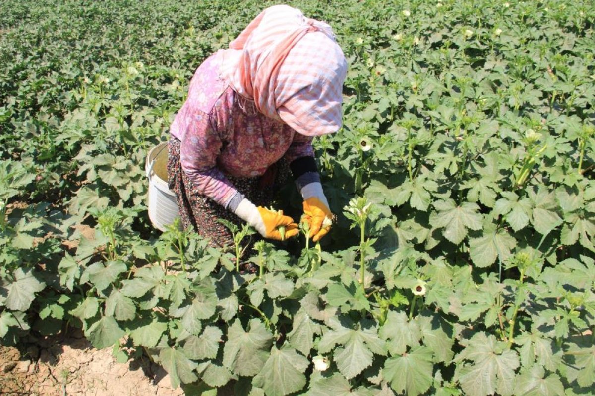 Masa başında oturan kadınlar bu zorluğu anlayamazlar #6