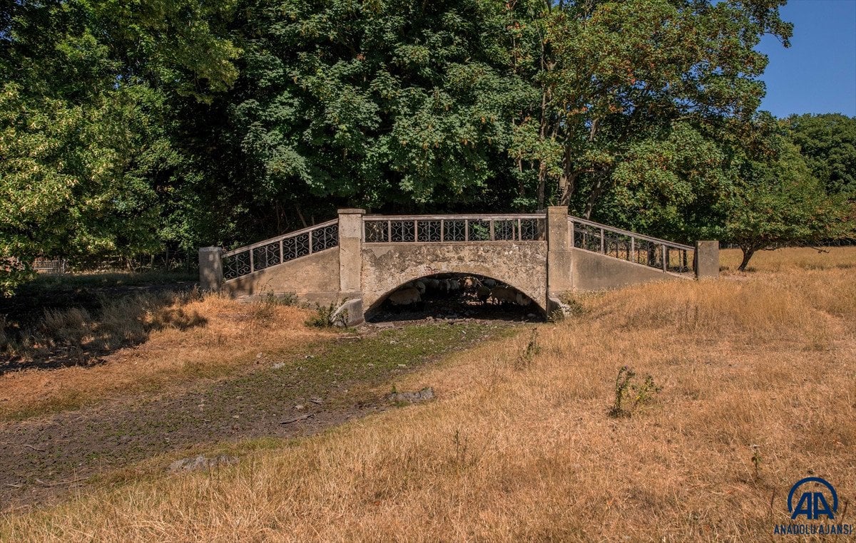 Riverbeds dry up from heat in England #1