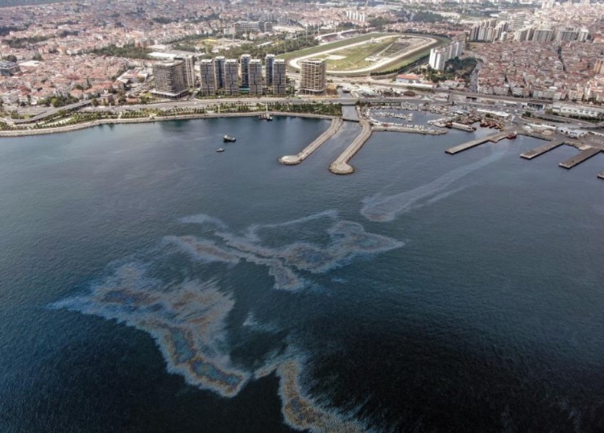 Zeytinburnu sahilinde mazot kirliliği  #1