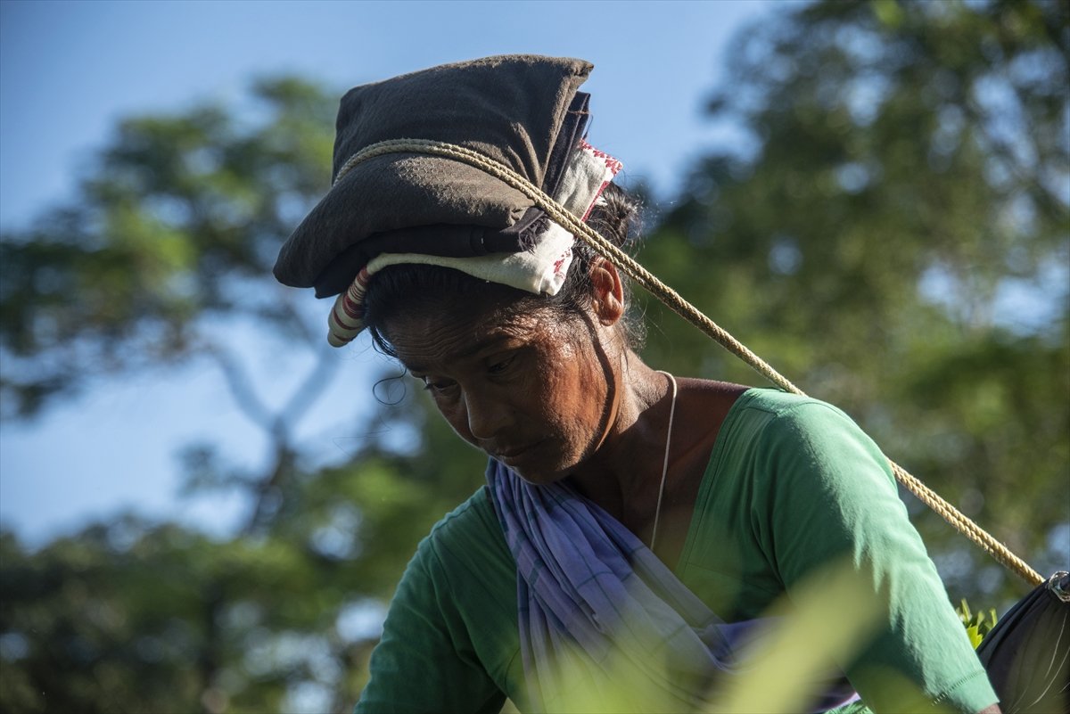 Tea workers' wages increased in India #5