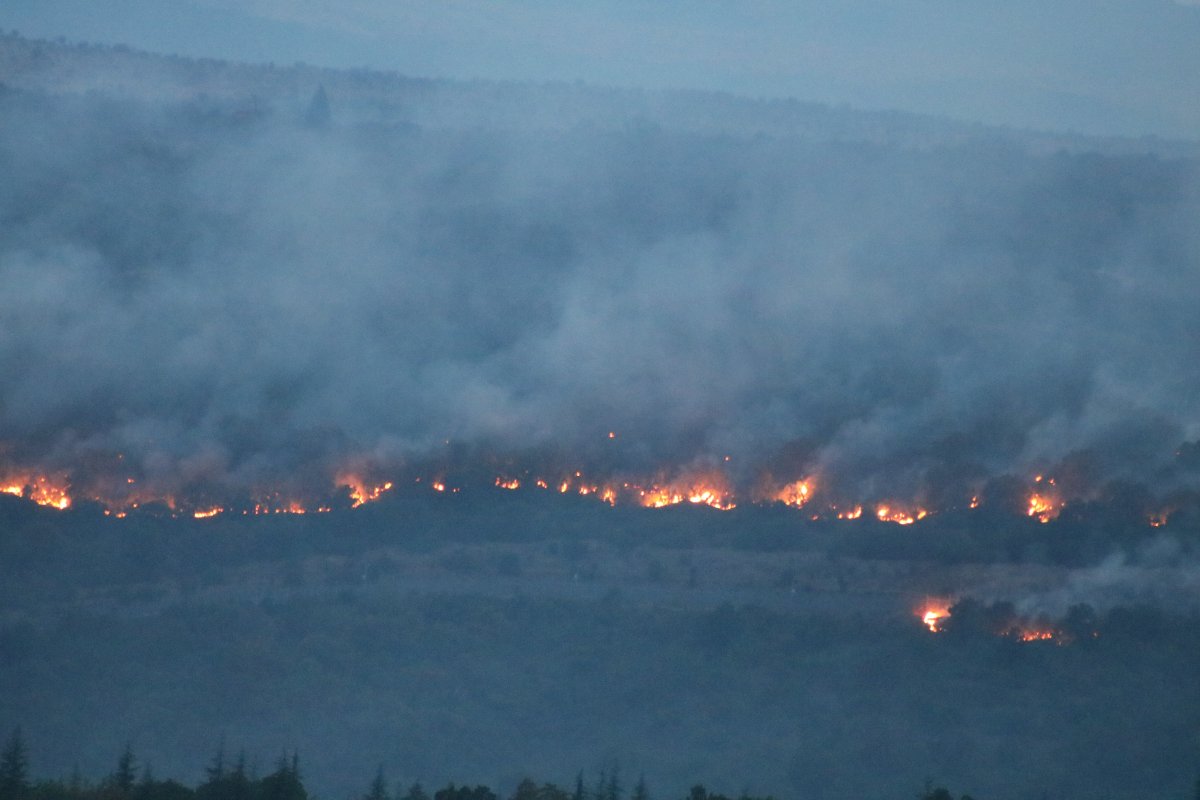 Bulgaristan da orman yangını: Edirne nin köylerine kadar dayandı #1