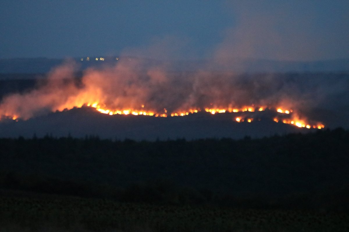 Forest fire in Bulgaria: It reached the villages of Edirne #3