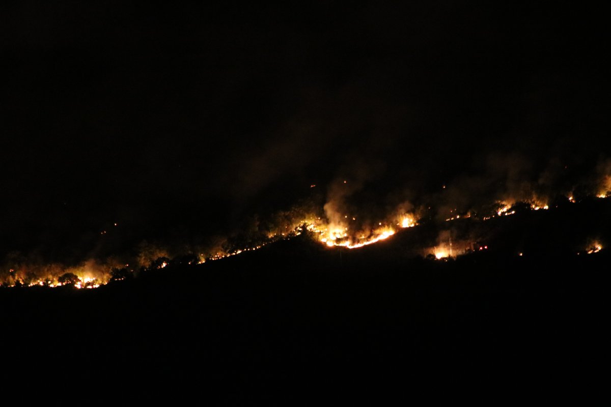 Bulgaristan da orman yangını: Edirne nin köylerine kadar dayandı #4