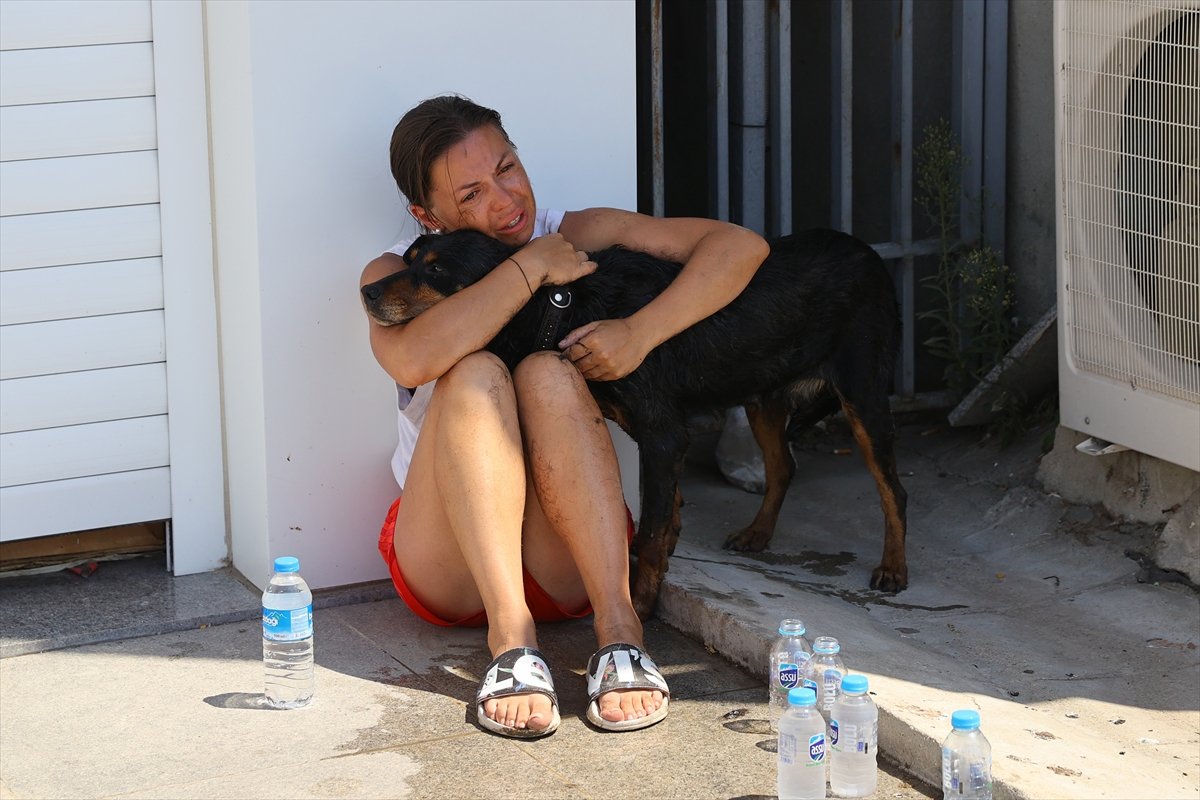 Edirne de Ukraynalı çiftin araçta bıraktığı köpek havasızlıktan telef oldu #10