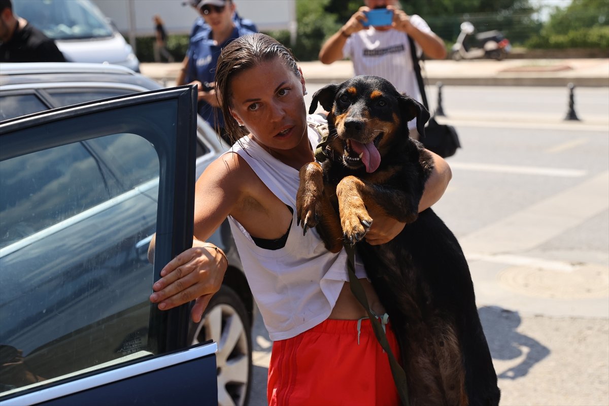 Edirne de Ukraynalı çiftin araçta bıraktığı köpek havasızlıktan telef oldu #5