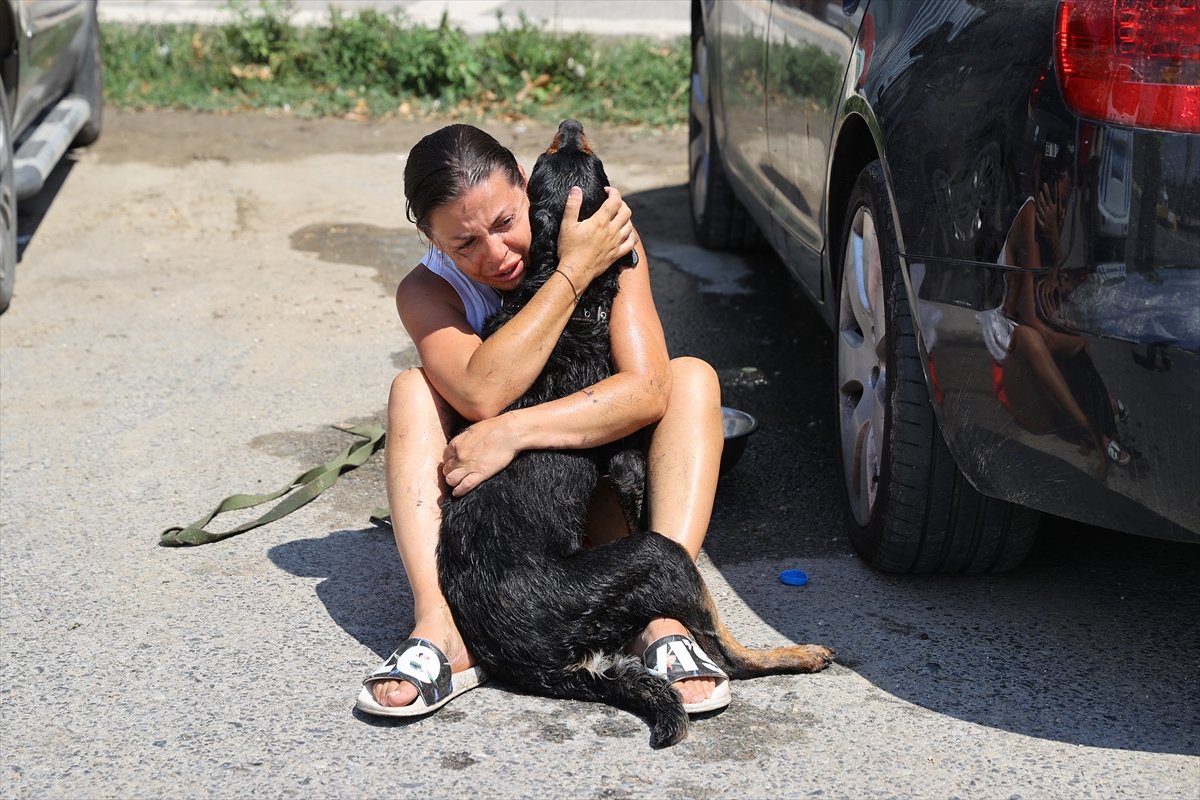 Edirne de Ukraynalı çiftin araçta bıraktığı köpek havasızlıktan telef oldu #9