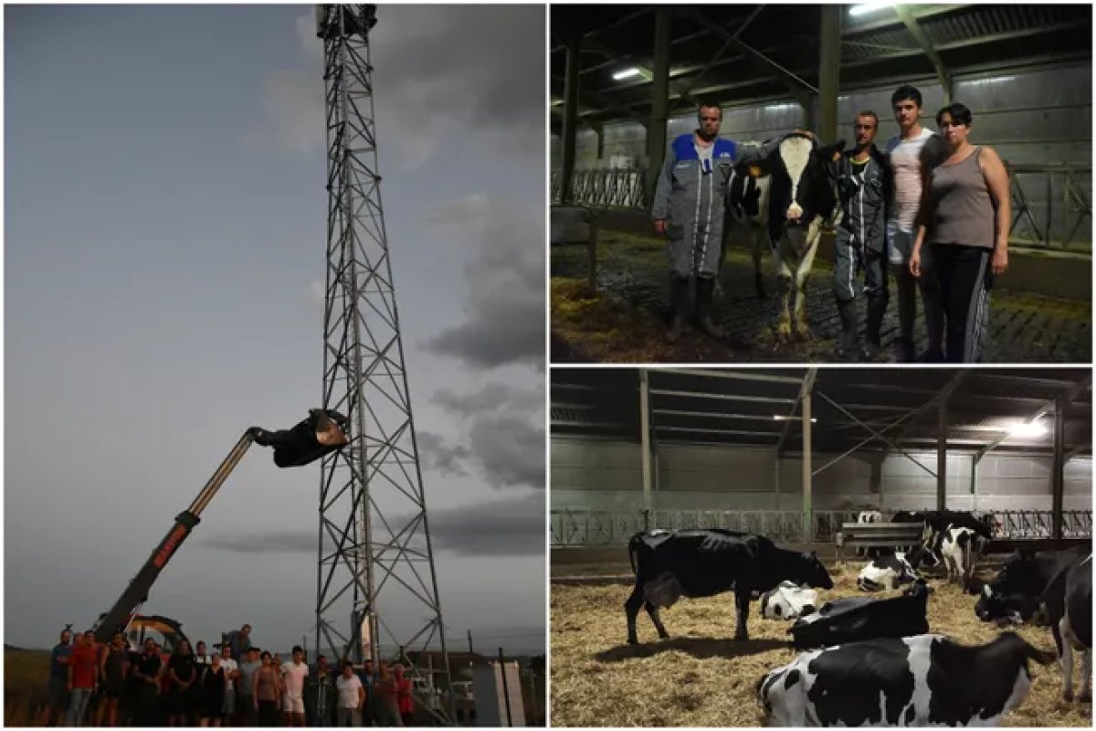 French farmer dismantled 4G antenna because of his cows #2