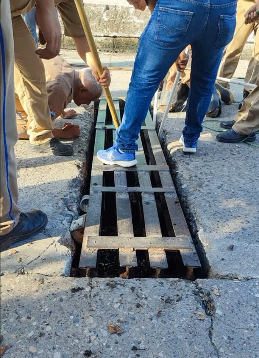 Meksika da dev timsah, boğduğu adamı taşırken görüntülendi #2