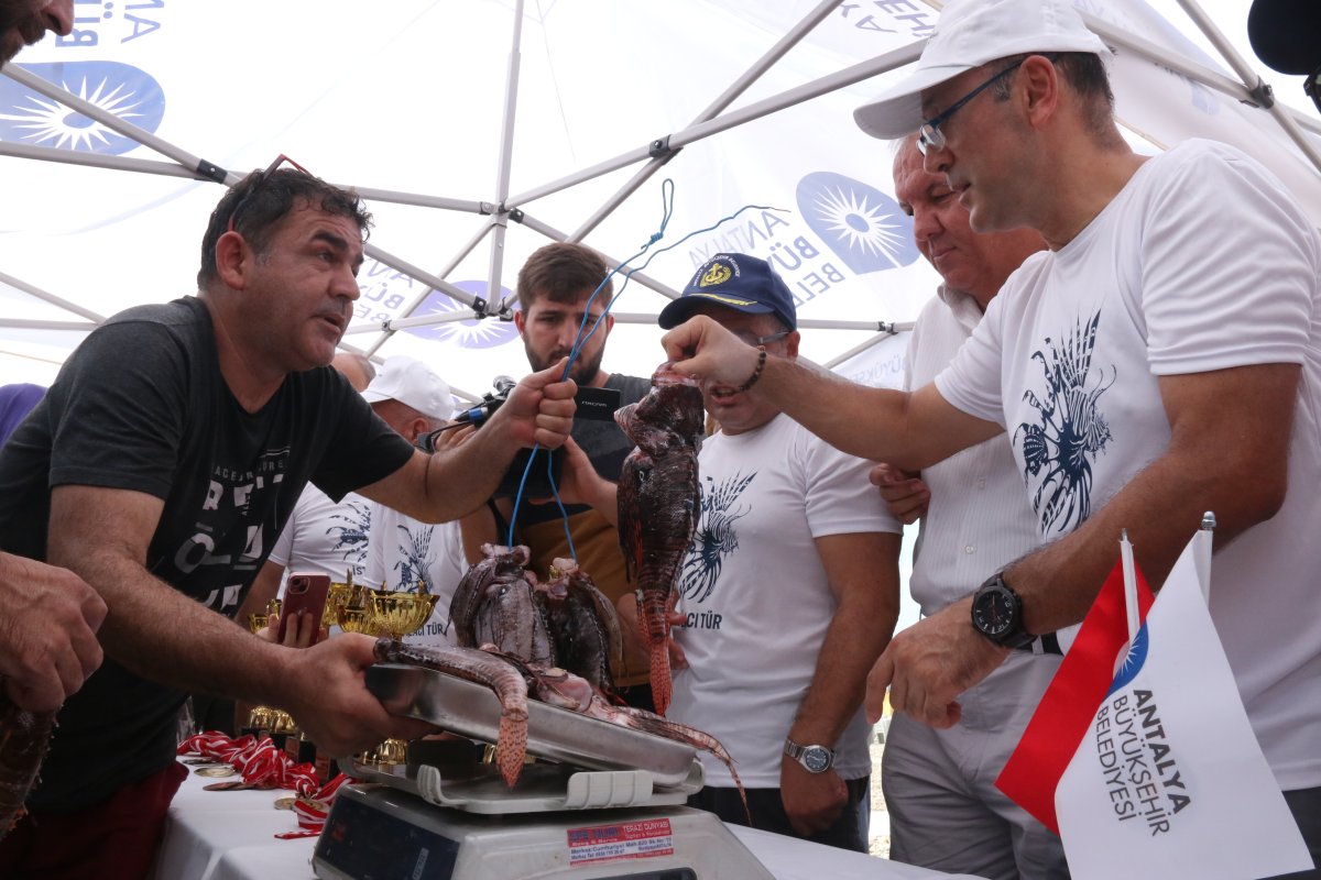 Antalya da zehirli aslan balığı yarışması yapıldı #2