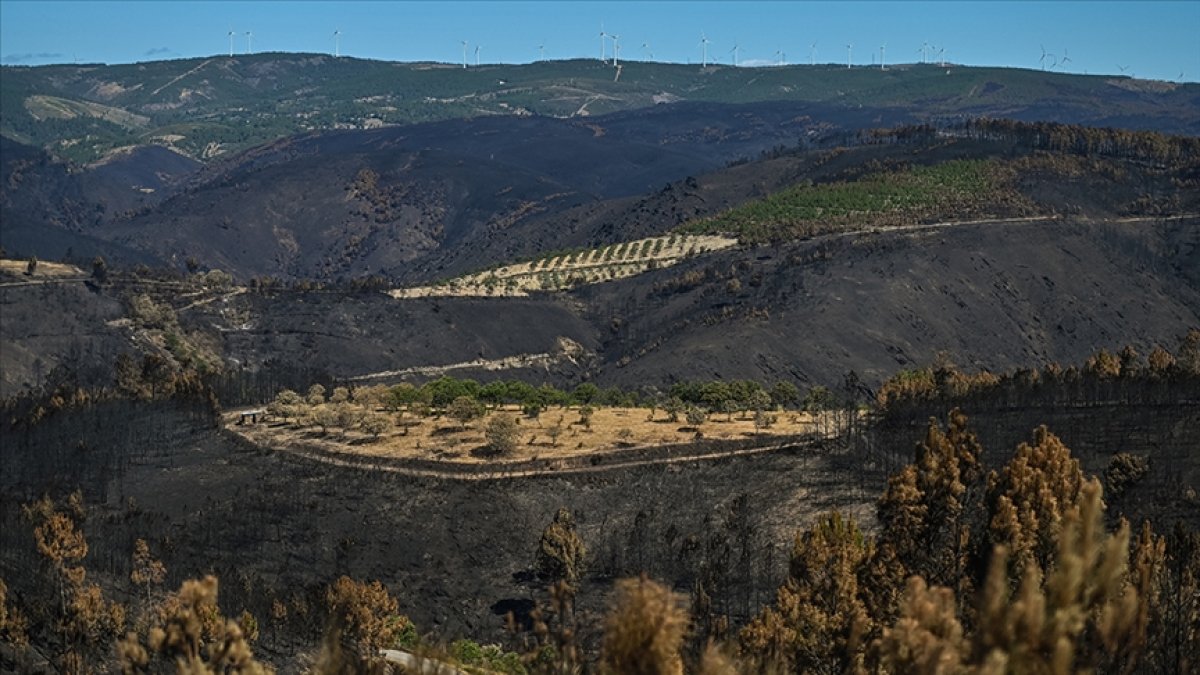 Portugal on alert for forest fires