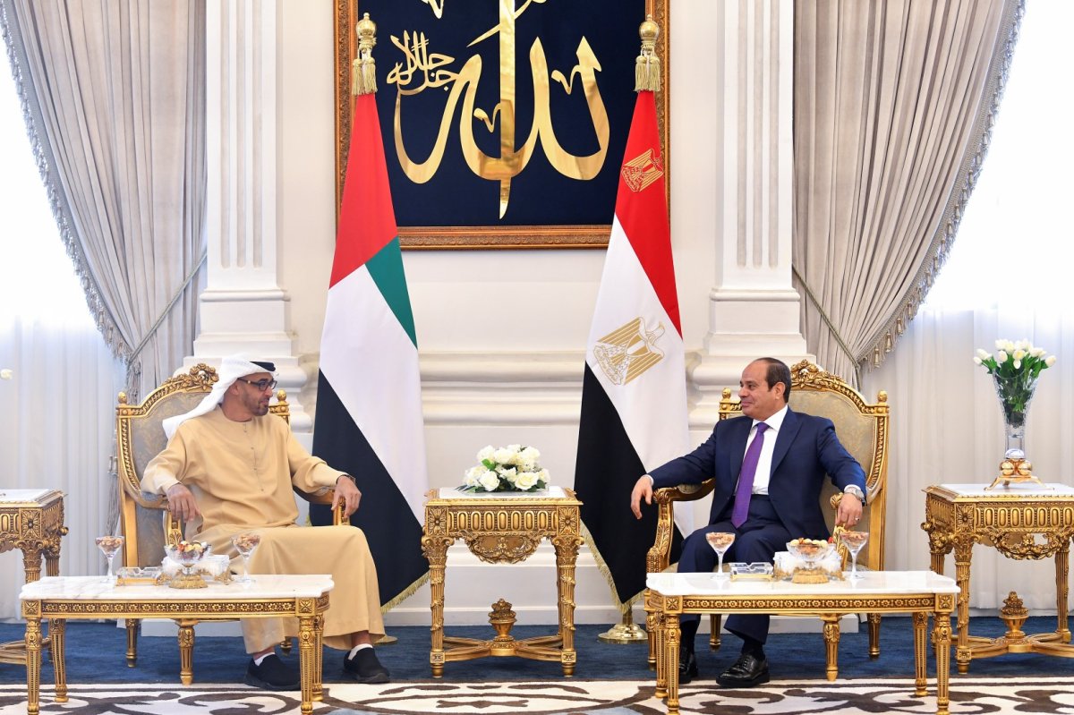 Sisi and Zayed meet in Egypt #3