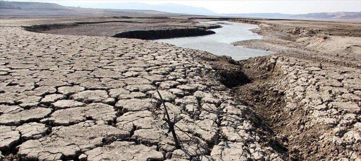 Europe may be experiencing worst drought in 500 years #6