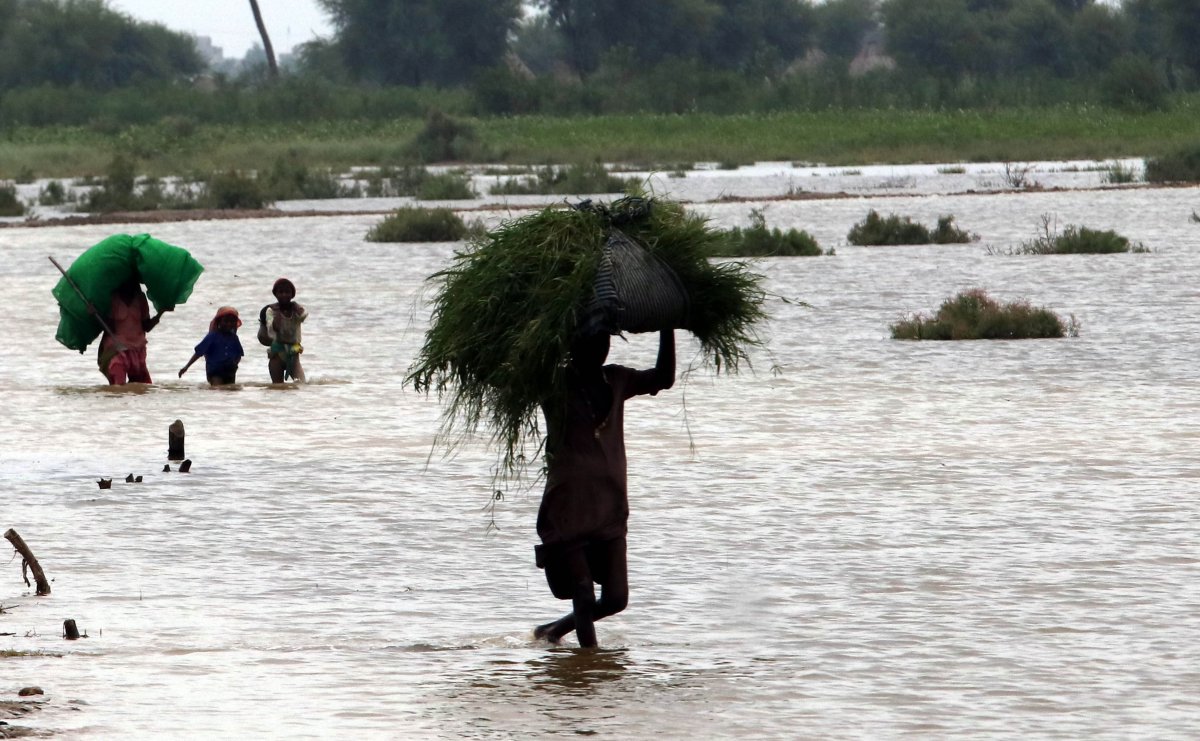 Flood disaster in Pakistan: Balance sheet gets worse #3