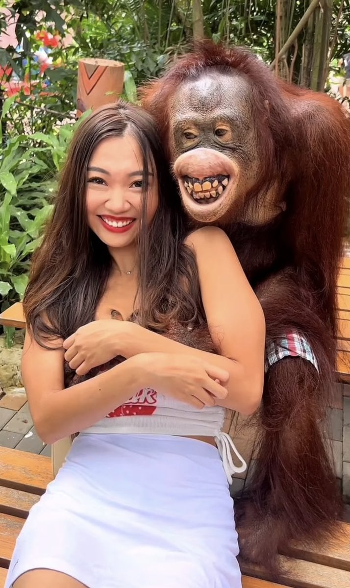 Orangutan harassed female tourist in Thailand #3