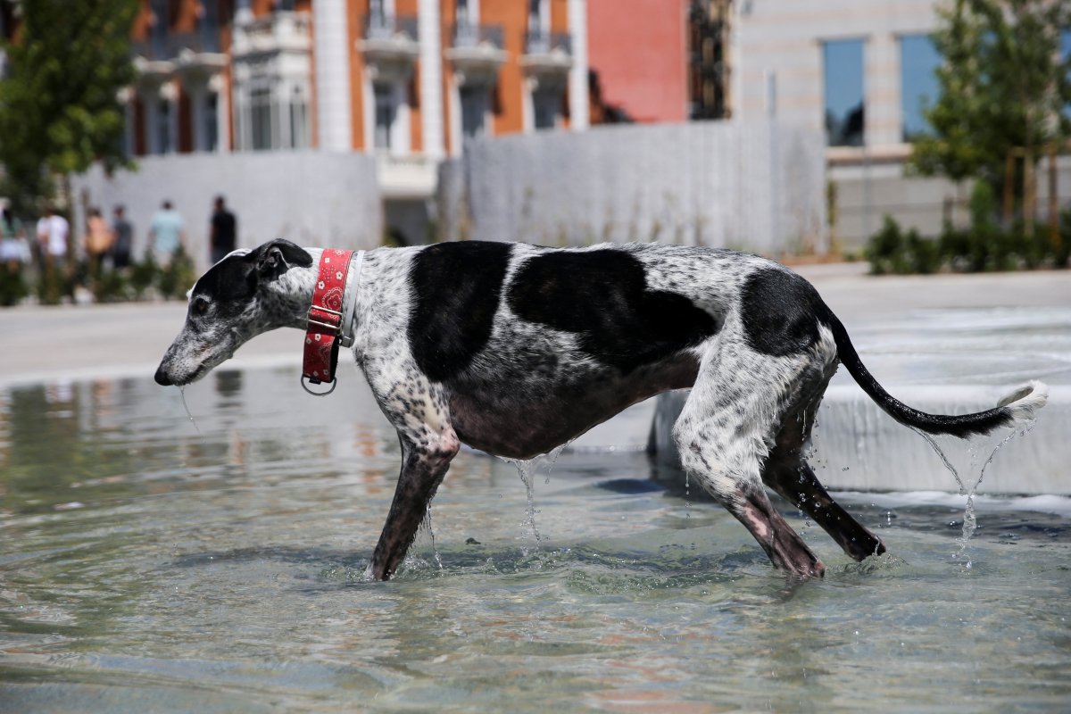 Air temperatures in Spain took 4,600 lives this summer #1