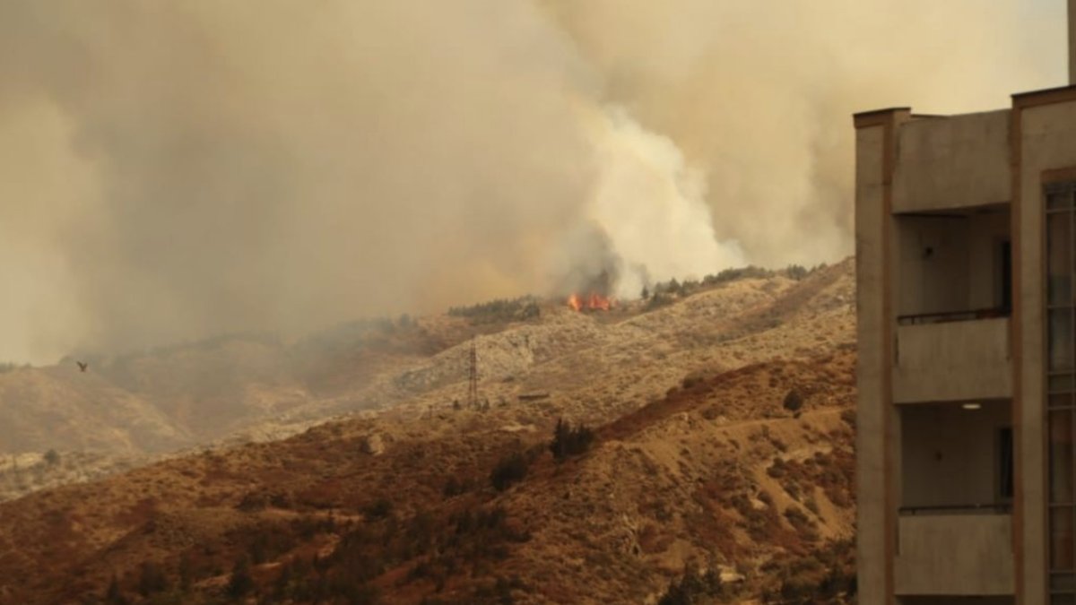 Aircraft support from Turkey to the fire in Georgia