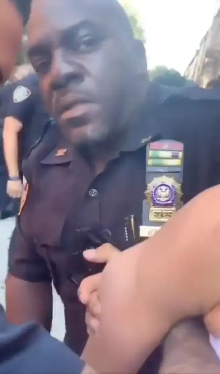 Fist attack on woman by US police #3