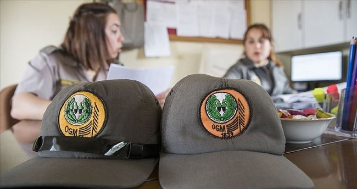 OGM 338 personel alımı yapacak! OGM personel alımı başvuru şartları nelerdir? #1