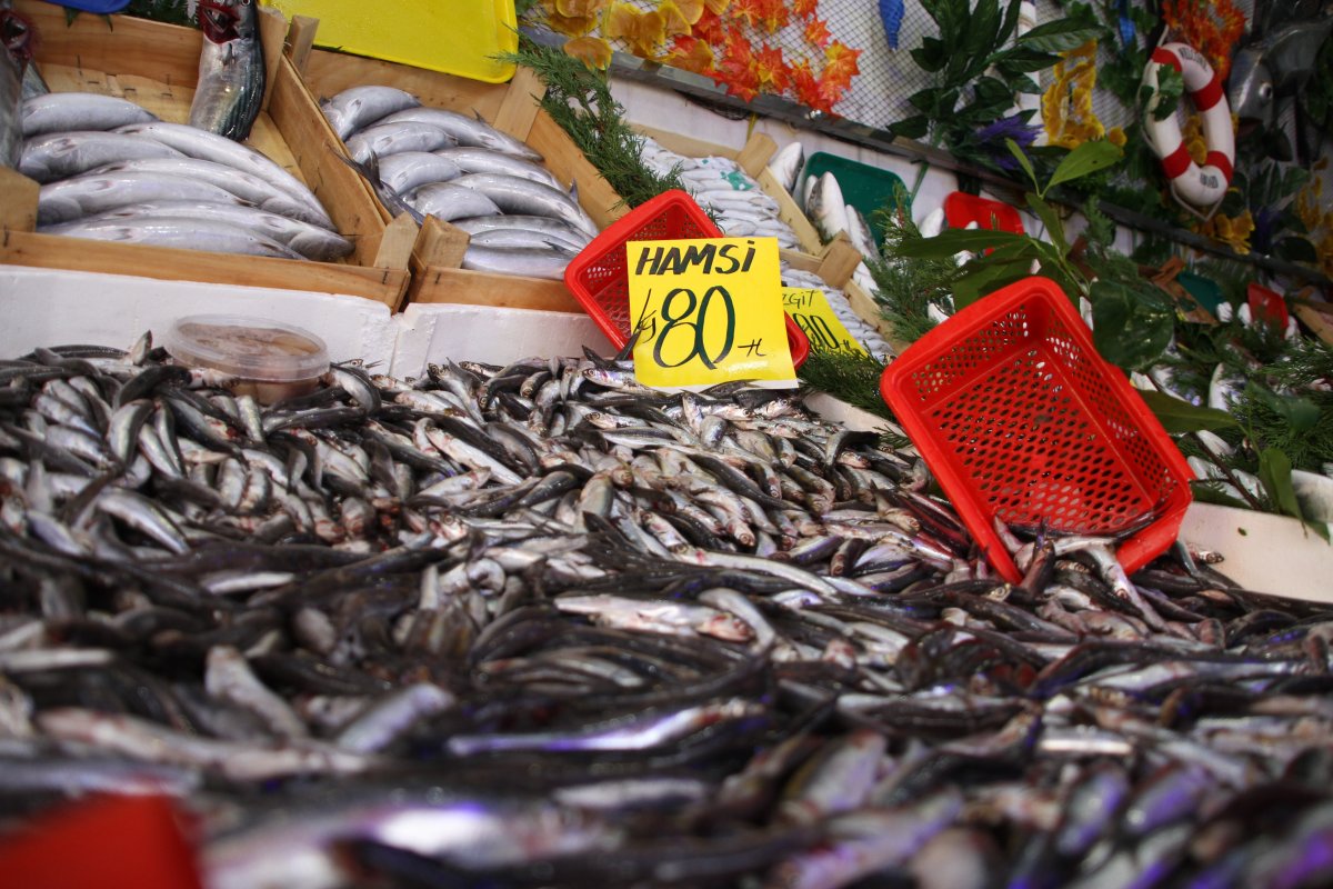 Gurbetçi vatandaş, sezonun ilk balığını Edirne’de yedi #9