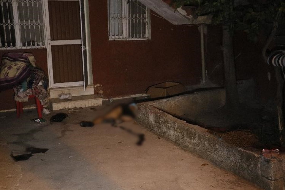 Adana da kadının başına taşla vurarak öldürdü #3