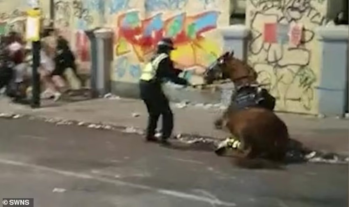İngiltere de yere yığılan polis atı öldü #1