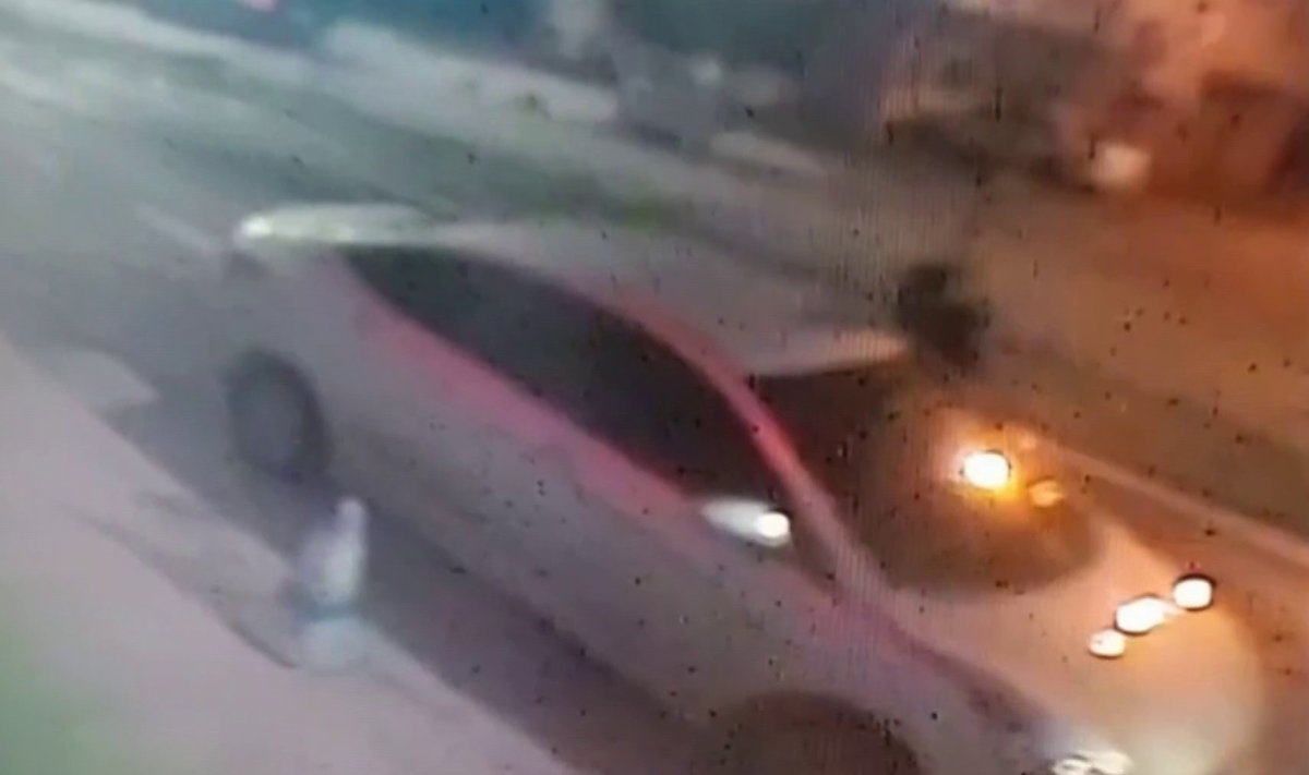 Sakarya’da otomobile camdan giren hırsız, yanlışlıkla kornaya bastı  #1