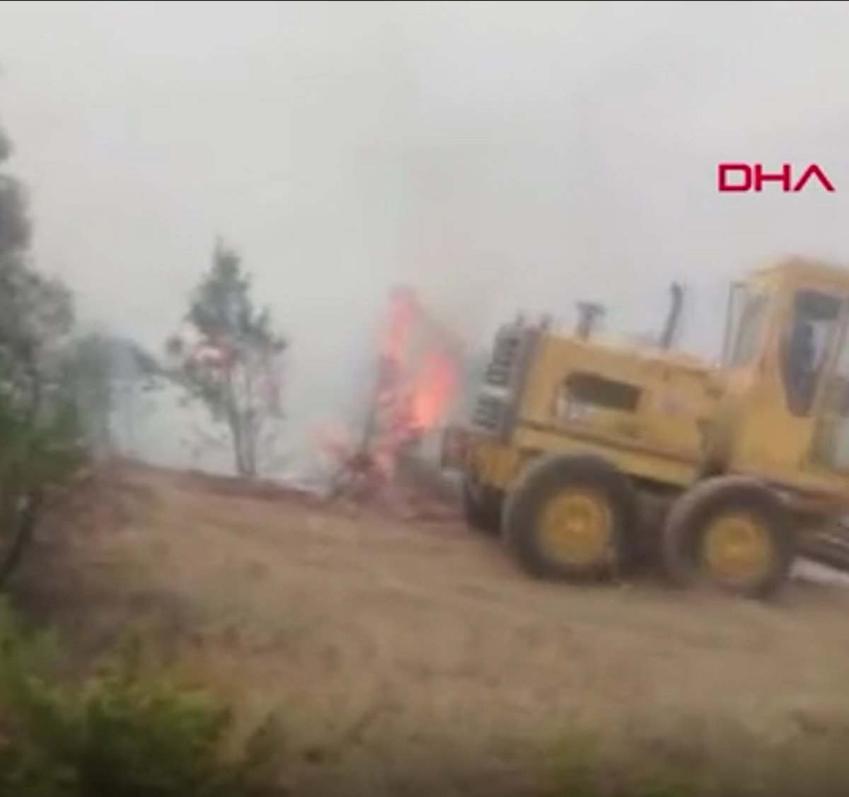 Erzincan’da ormanlık alanda yangın çıktı  #1