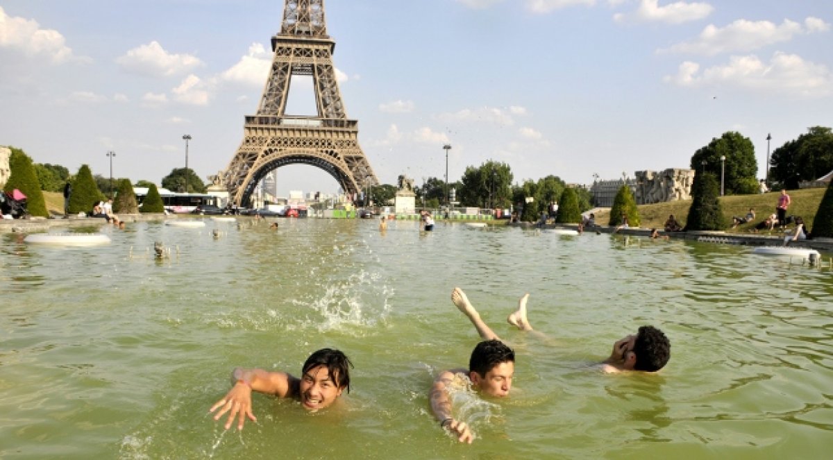 Fransa da kavurucu sıcaklar nedeniyle son 19 yılın en yüksek ölüm oranı kaydedildi #1