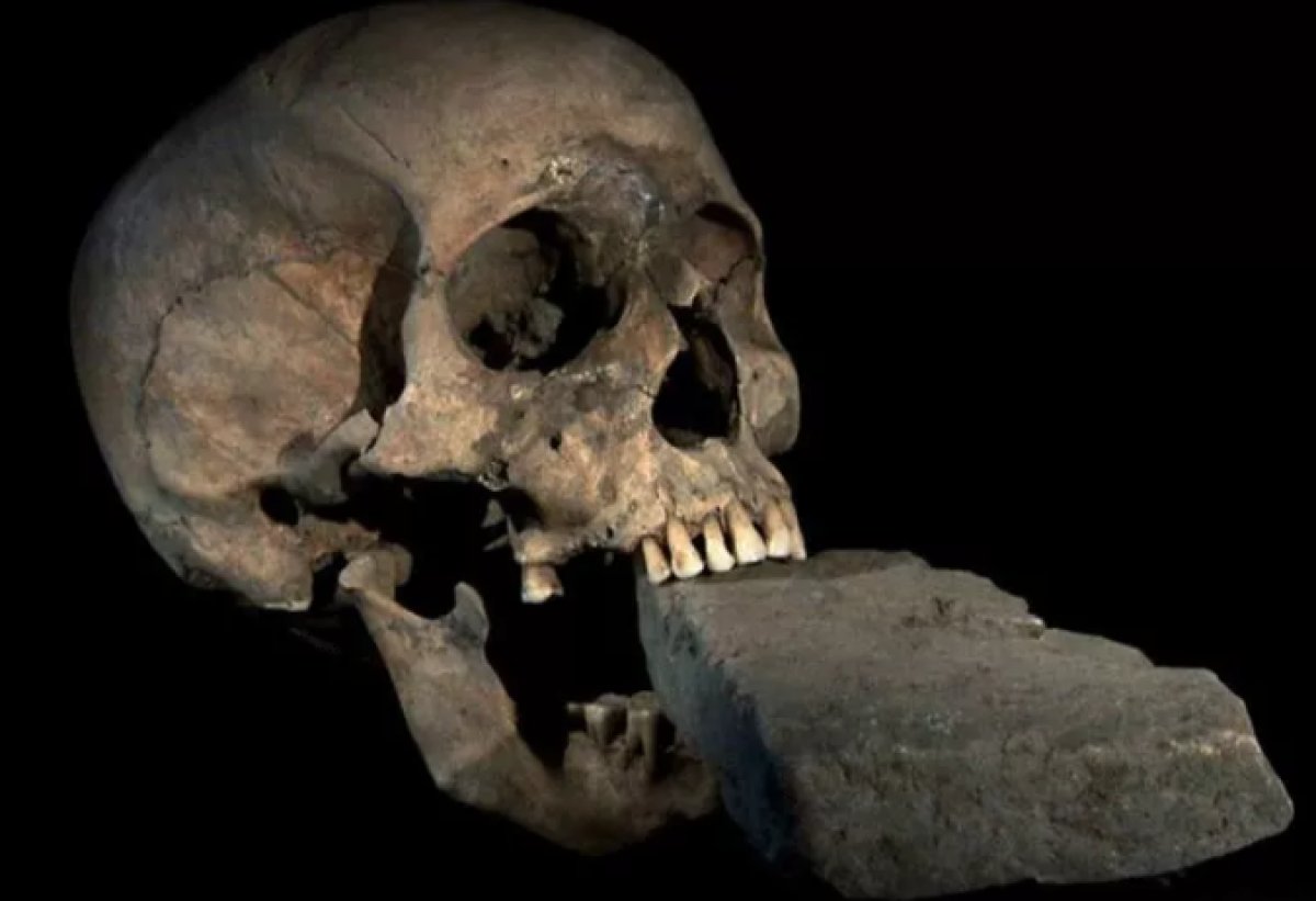 Skeleton thought to belong to 'female vampire' found in Poland #3
